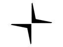 פולסטאר logo