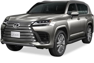 LX image